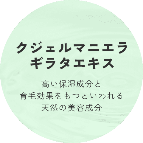 クジェルマニエラギラタエキス 高い保湿成分と育毛効果をもつといわれる天然の美容成分
