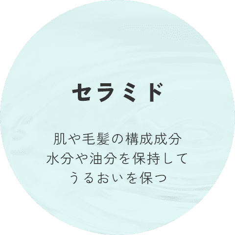 セラミド 肌や毛髪の構成成分水分や油分を保持してうるおいを保つ