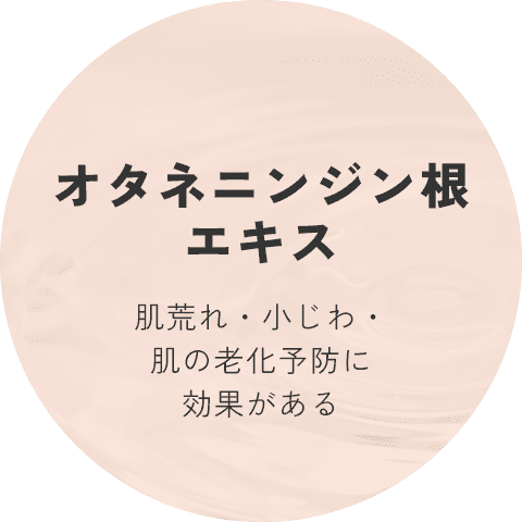 オタネニンジン根エキス 肌荒れ・小じわ・肌の老化予防に効果がある