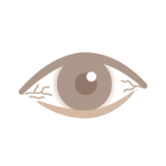 アイコン