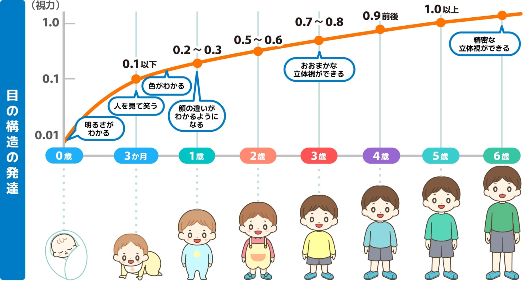 目の構造の発達を表したグラフ。0歳で明るさがわかるようになり、3か月で人を見て笑うようになり、1歳で顔の違いがわかるようになり、3歳でおおまかな立体視ができるようになり、6歳で精密な立体視ができるようになる。