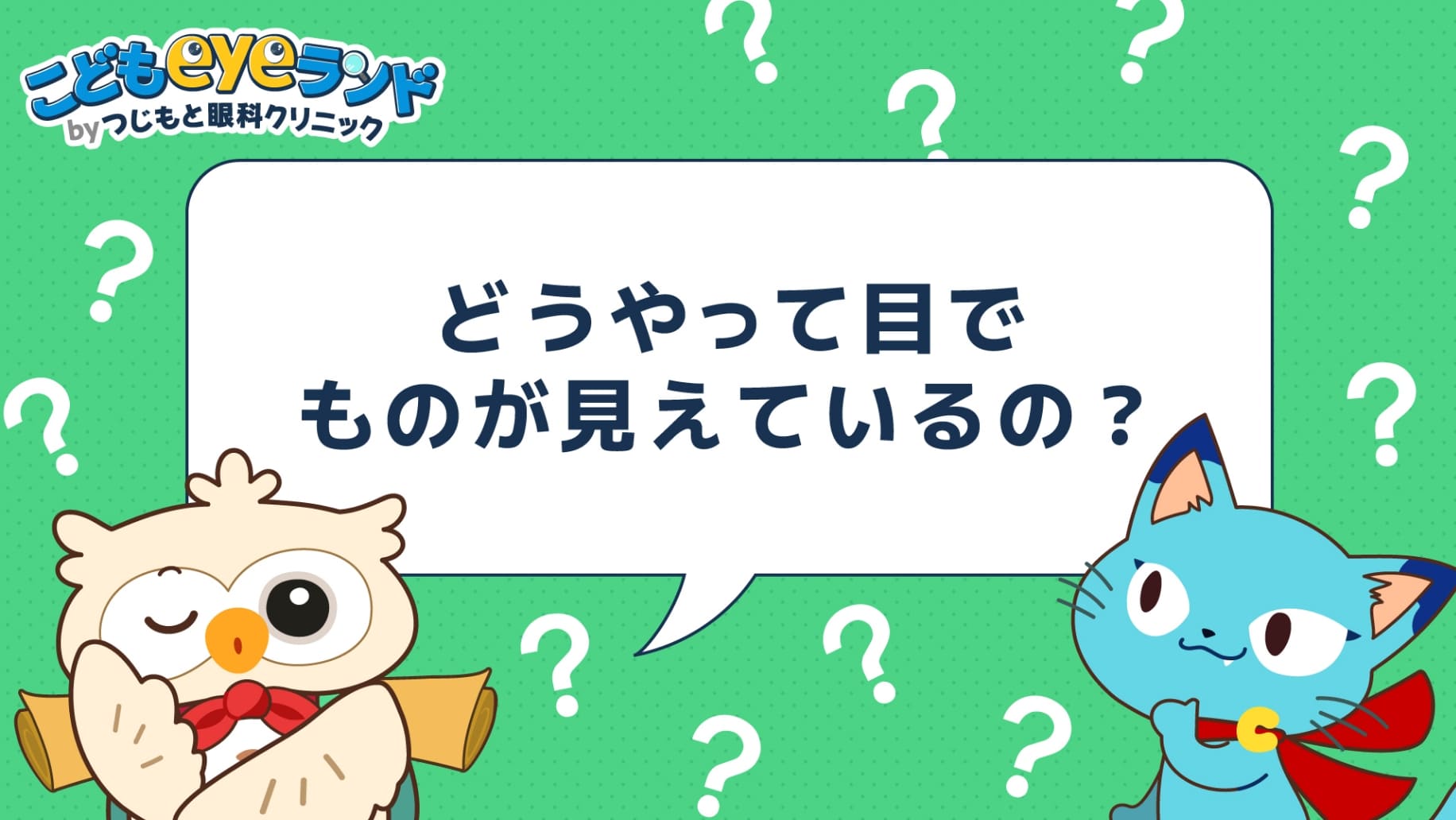 どうやって目でものが見えるの？しくみを楽しく解説！
