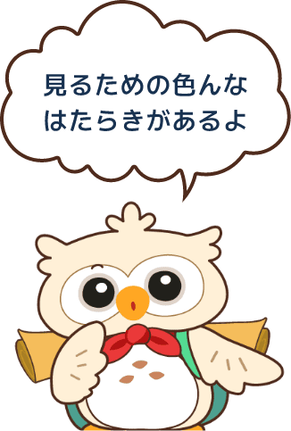 見るための色んなはたらきがあるよ