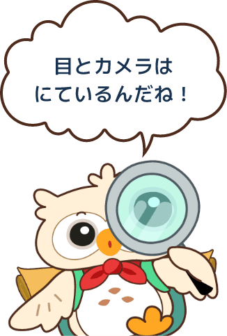 目とカメラはにているんだね！